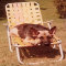 tn_shannonlawnchair1