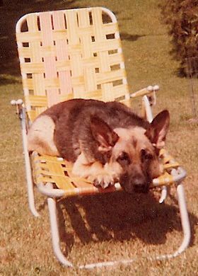 tn_shannonlawnchair1