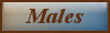 welcome_to_adelhund001015.jpg